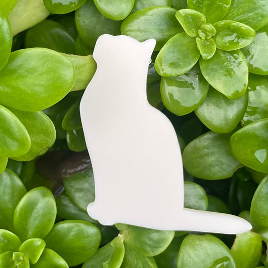 Pop Cats Brooch - Patience