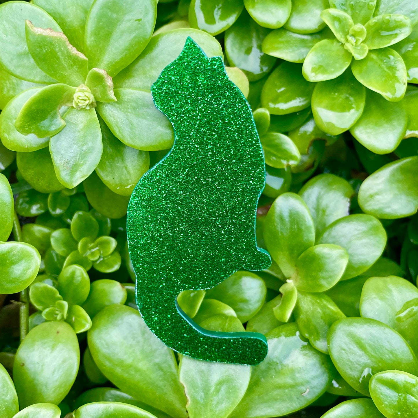 Pop Cats Brooch - How Beautiful